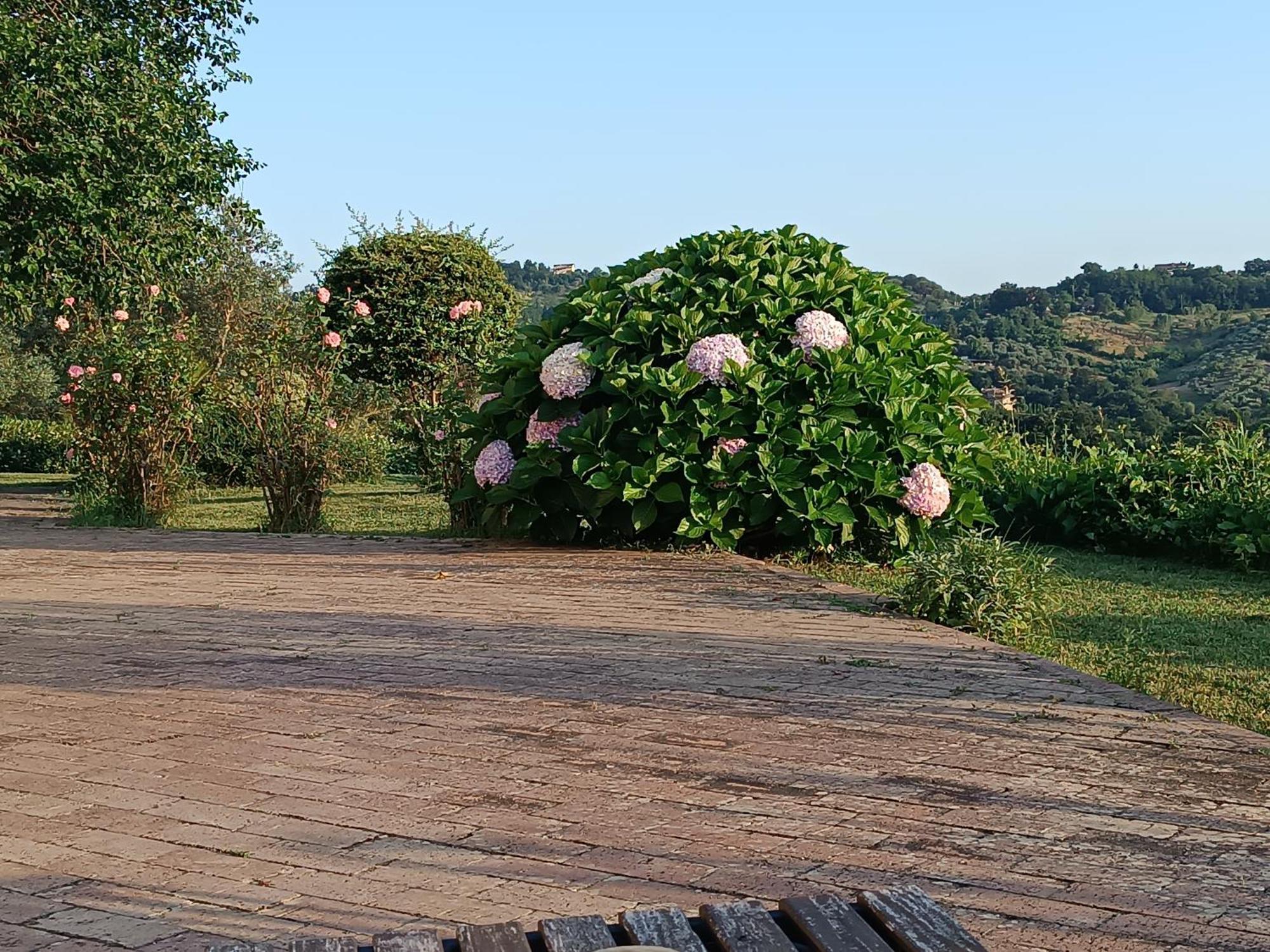 Santa Lucia B&B Caiazzo ภายนอก รูปภาพ